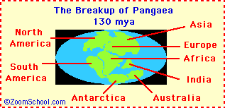 Image result for continental drift